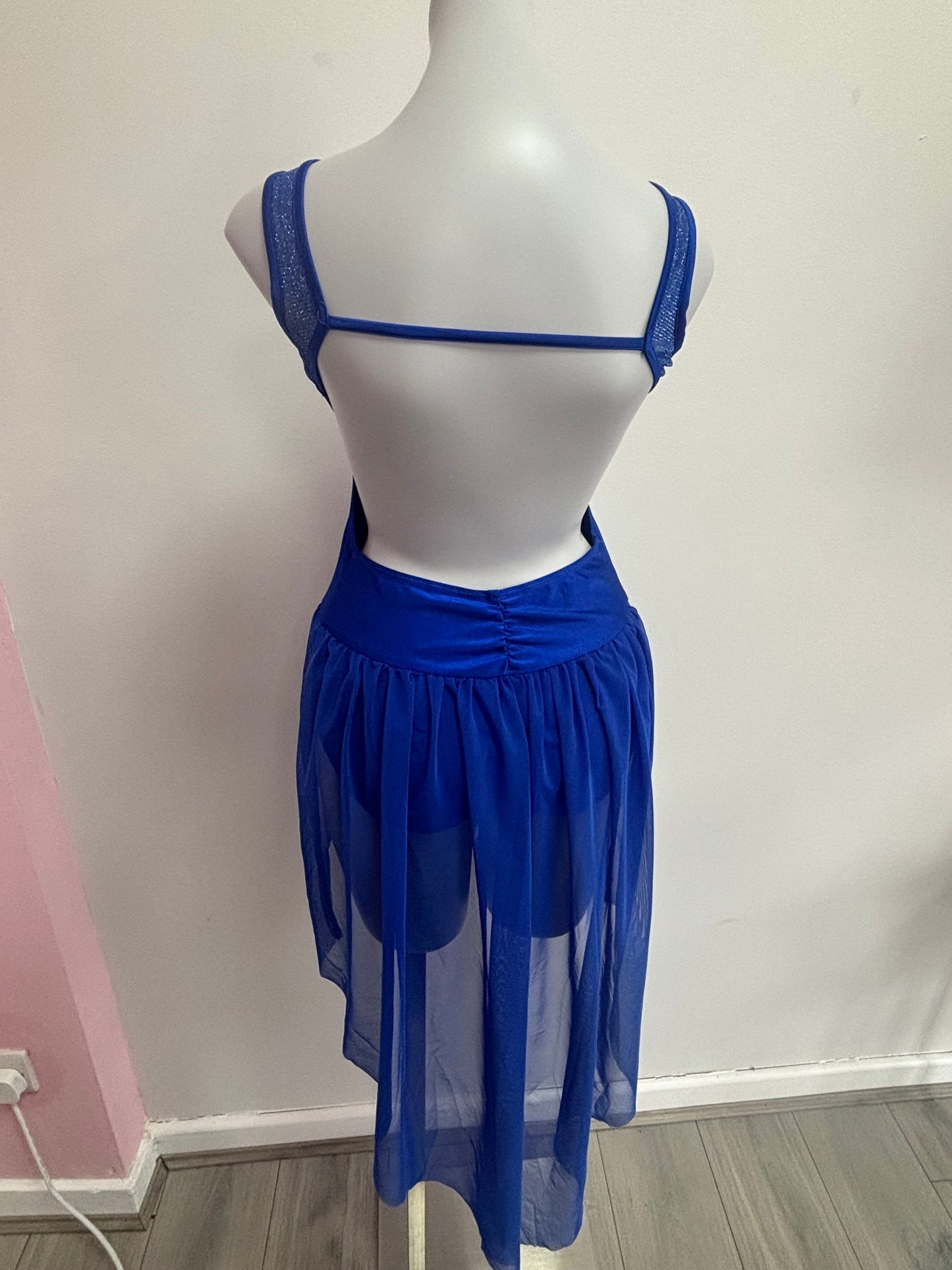 Preloved blue Iefiel costume