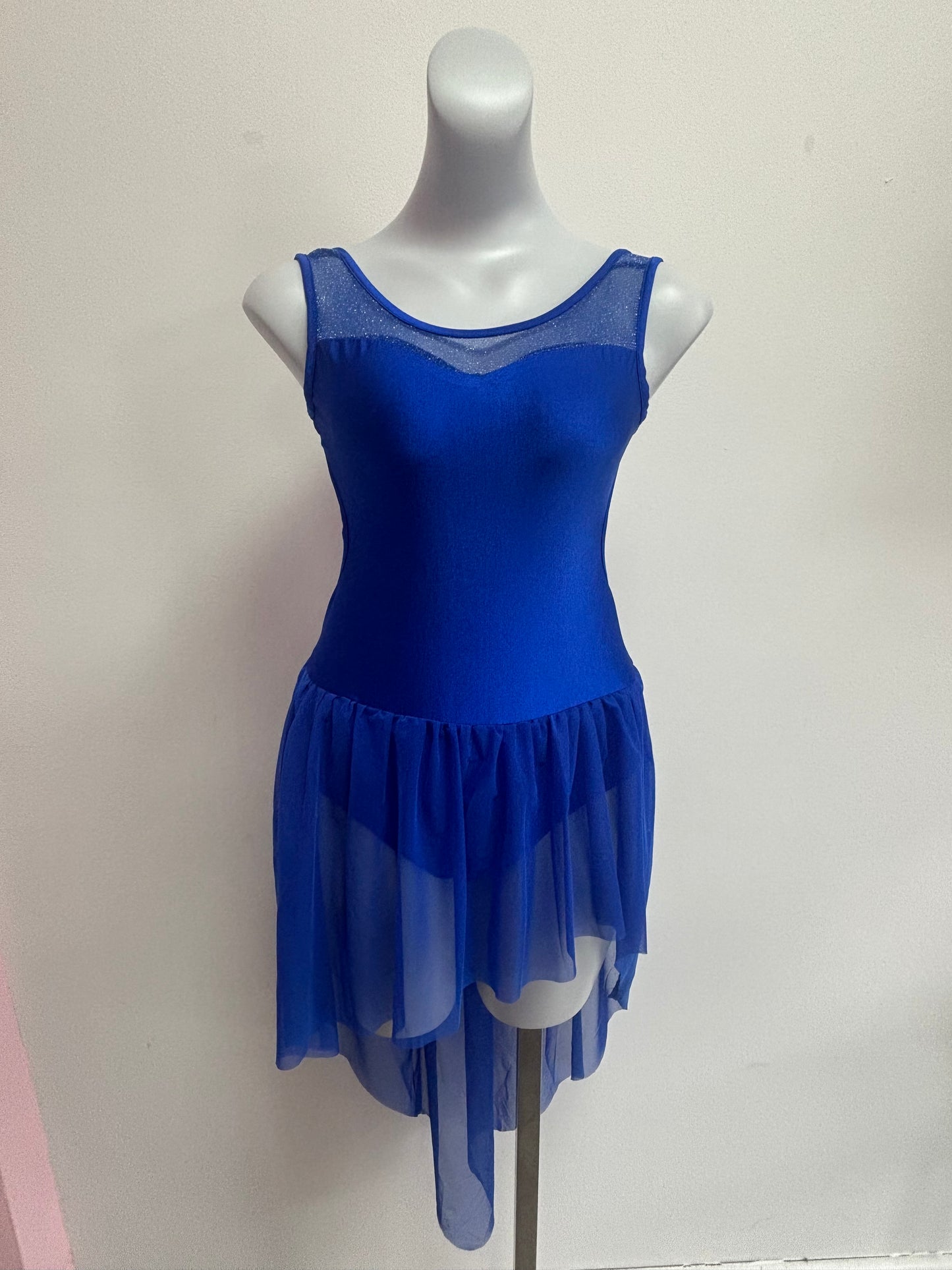 Preloved blue Iefiel costume