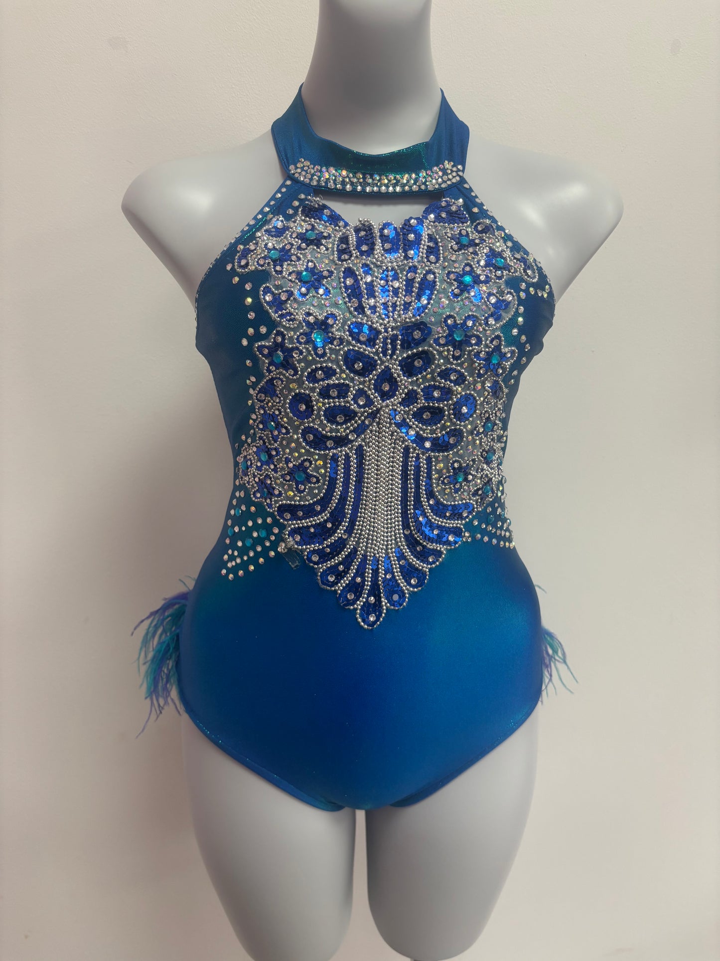 Preloved custom blue feather costume