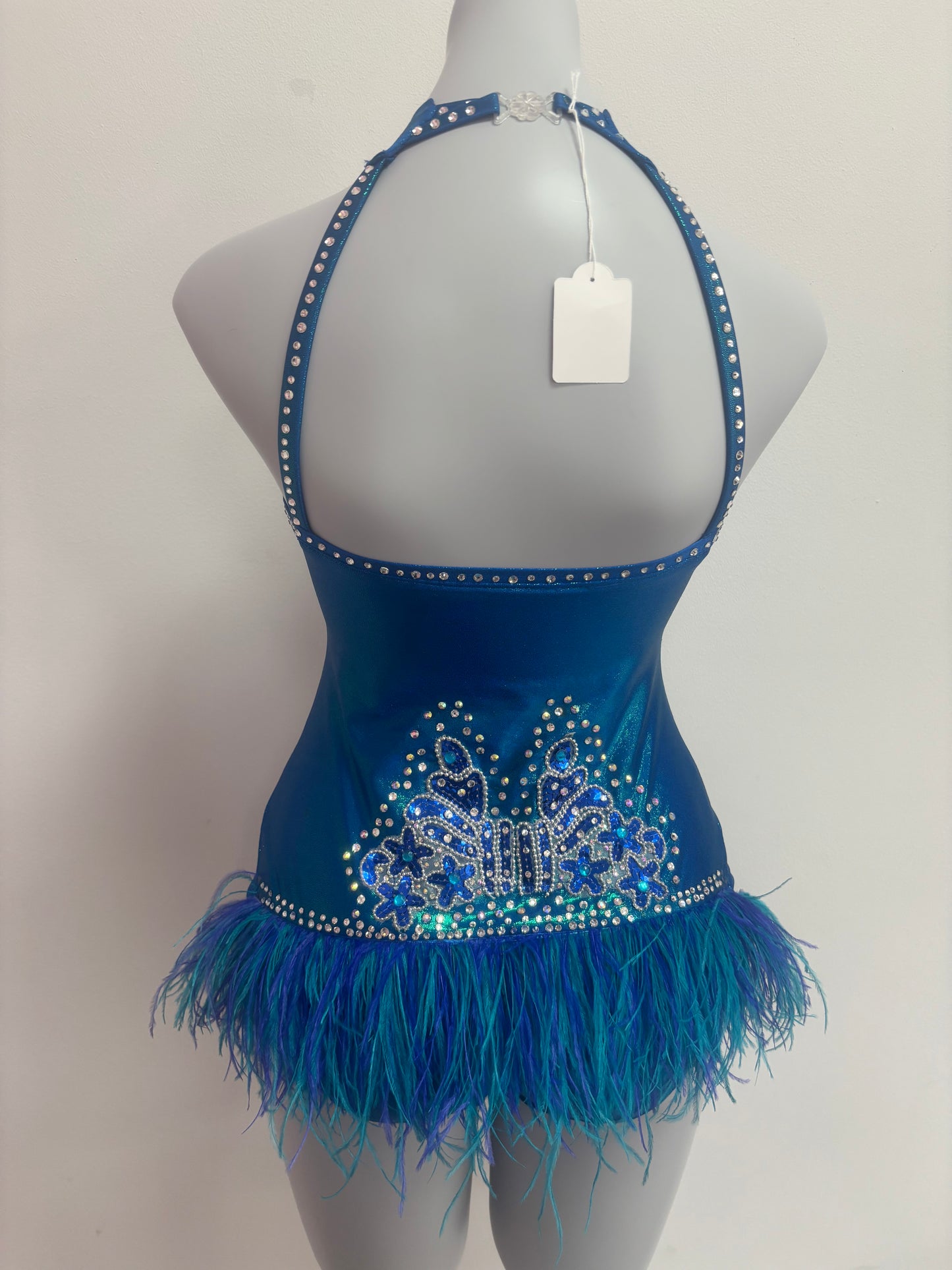 Preloved custom blue feather costume
