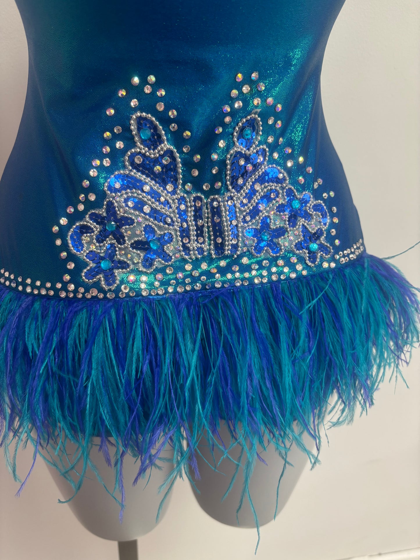 Preloved custom blue feather costume